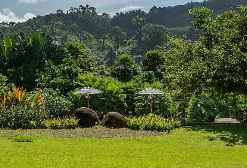 Fotos del hotel Naithonburi Beach Resort Phuket:  18