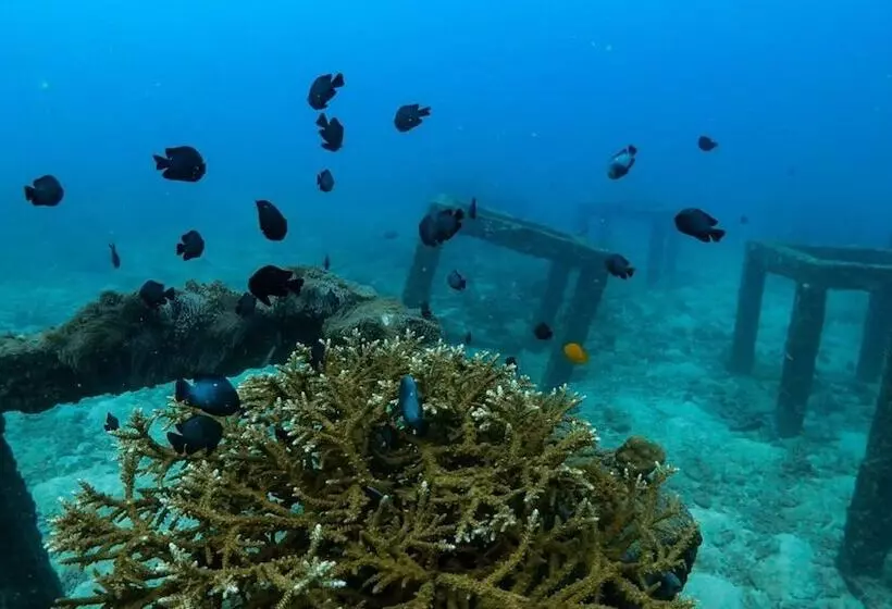 Fotos del hotel Naithonburi Beach Resort Phuket:  9