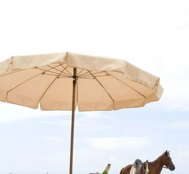 Fotos del hotel Veranda Lodge:  25