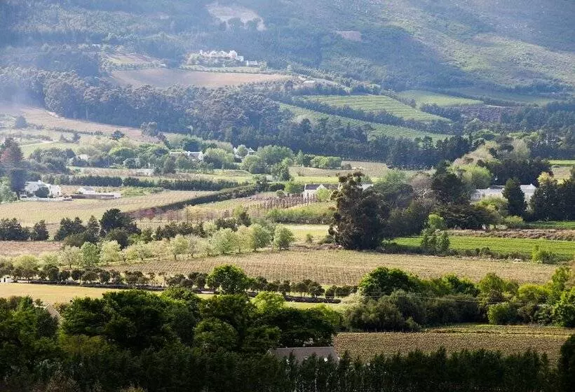 Fotos del hotel Mont Rochelle Hotel & Vineyard:  9