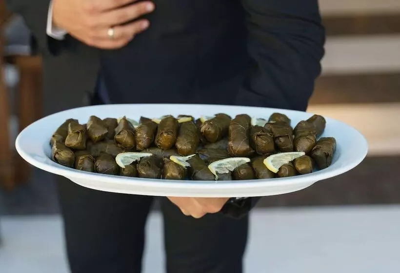 Fotos del hotel Aegean Pearl:  19