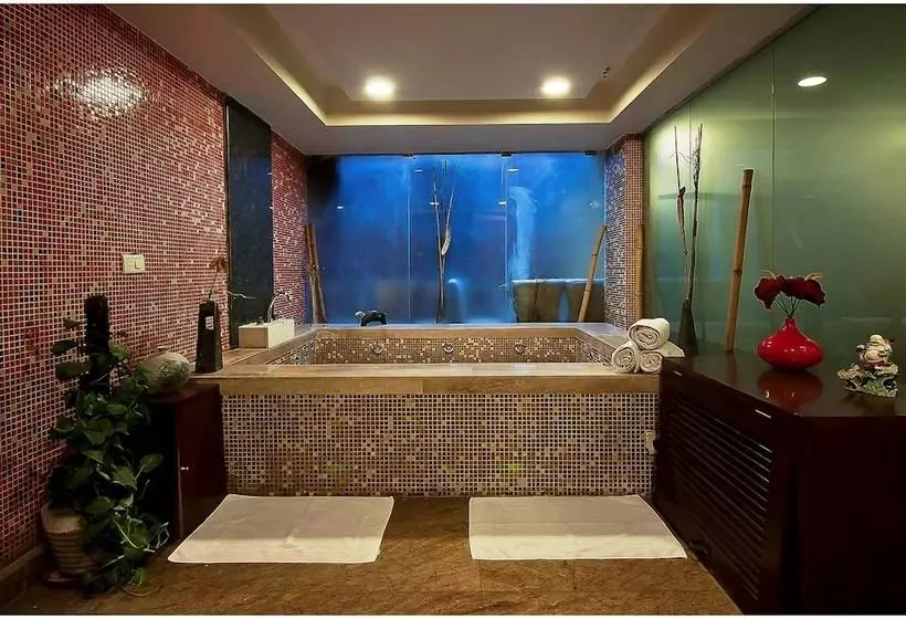 Fotos del hotel Aura:  11