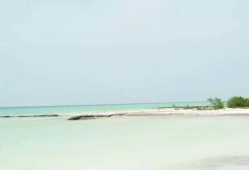 Fotos del hotel Holbox Dream Beachfront:  6