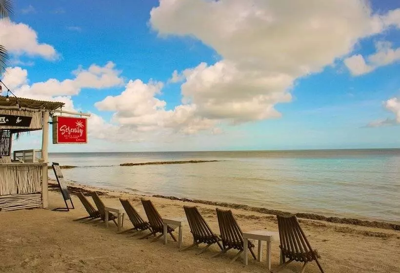 Fotos del hotel Holbox Dream Beachfront:  10