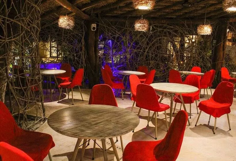 Fotos del hotel Holbox Dream Beachfront:  25