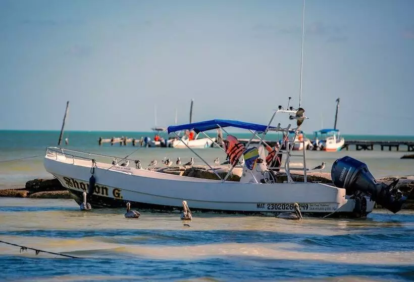 Fotos del hotel Holbox Dream Beachfront:  13