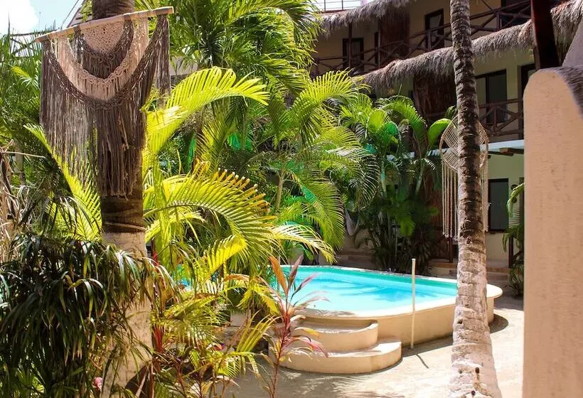 Holbox Dream Beachfront