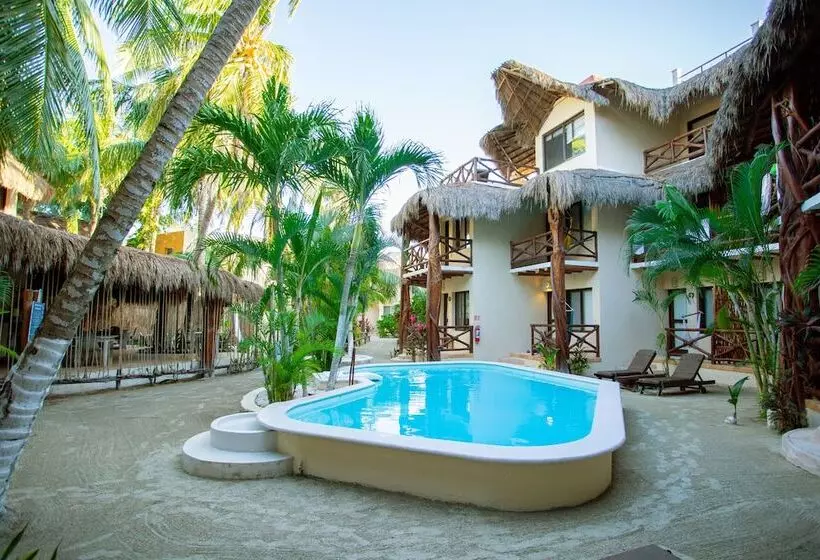 Fotos del hotel Holbox Dream Beachfront:  20