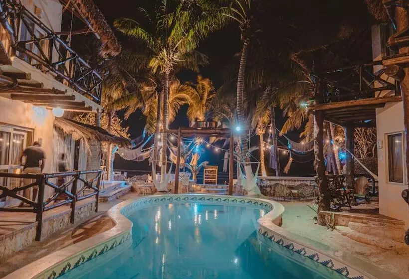 Fotos del hotel Holbox Dream Beachfront:  16