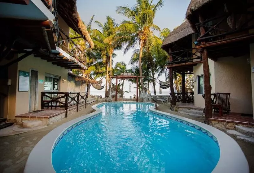 Fotos del hotel Holbox Dream Beachfront:  22