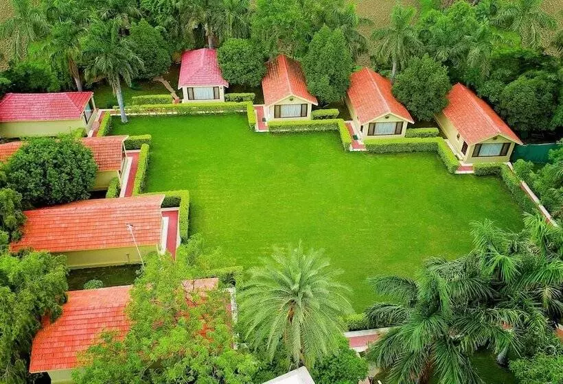 Fotos del hotel ?justa Rajputana:  9