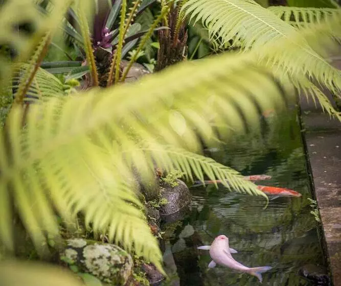 Fotos del hotel Komaneka At Bisma Ubud:  6