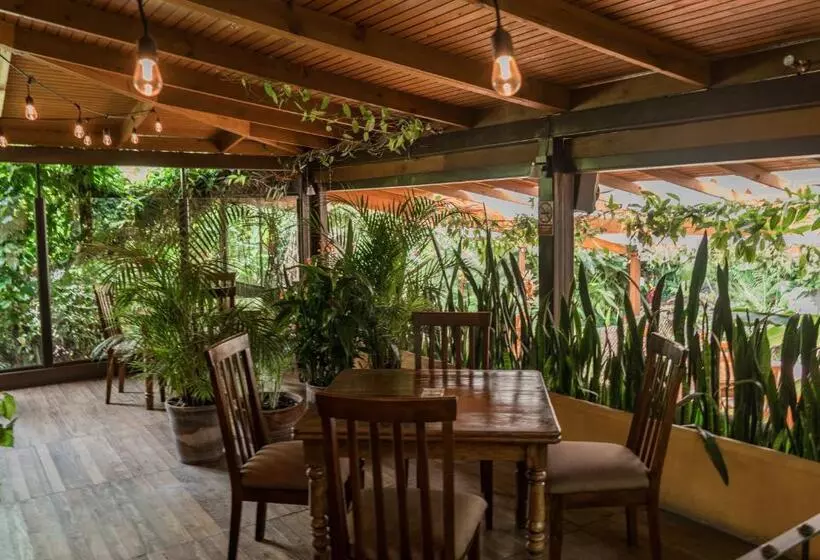 Fotos del hotel Las Farolas:  20