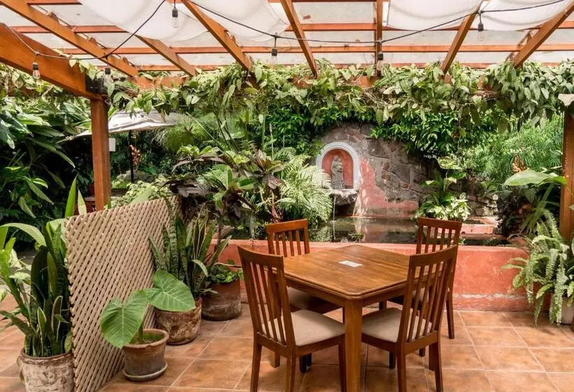 Fotos del hotel Las Farolas:  9