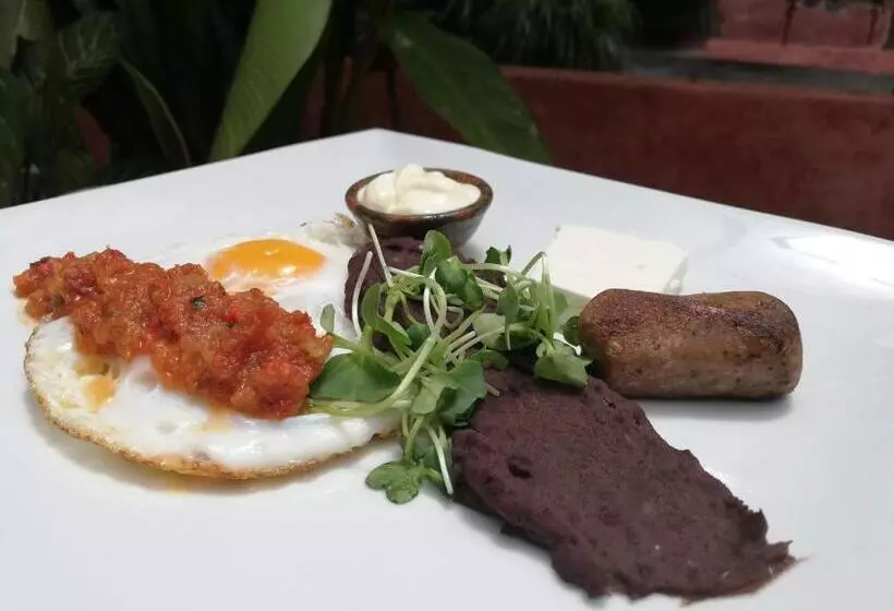 Fotos del hotel Las Farolas:  21