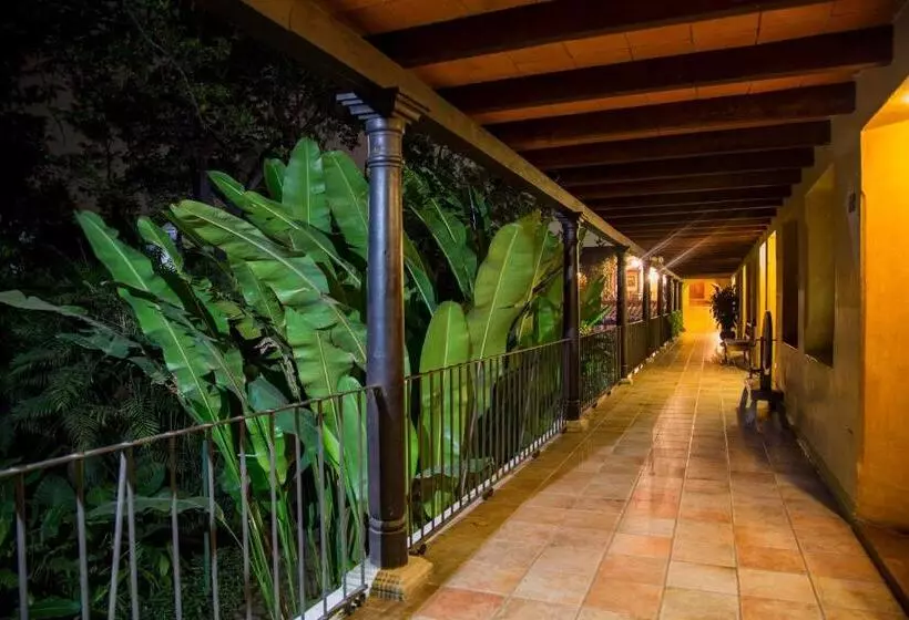 Fotos del hotel Las Farolas:  14