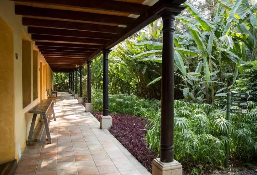 Fotos del hotel Las Farolas:  12