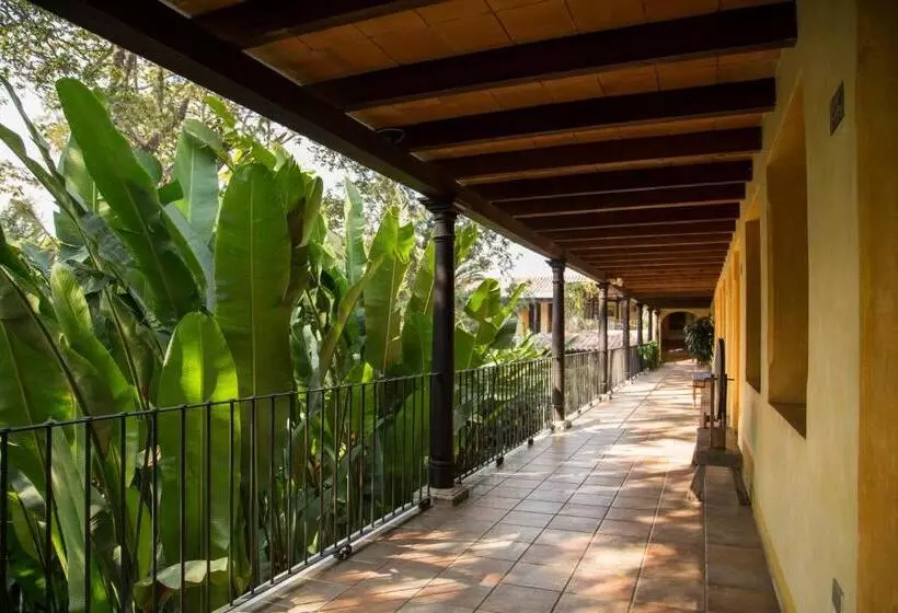 Fotos del hotel Las Farolas:  4