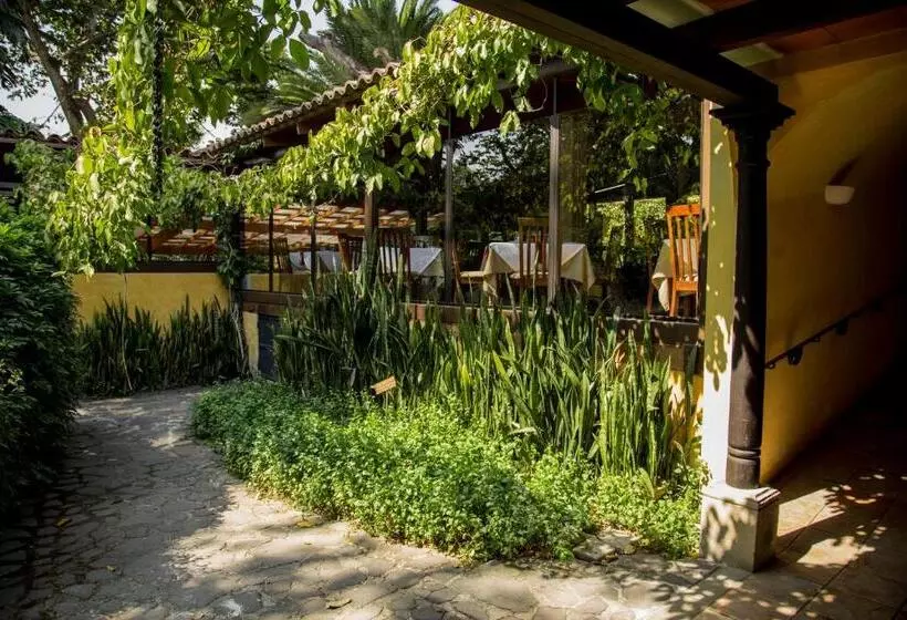 Fotos del hotel Las Farolas:  16