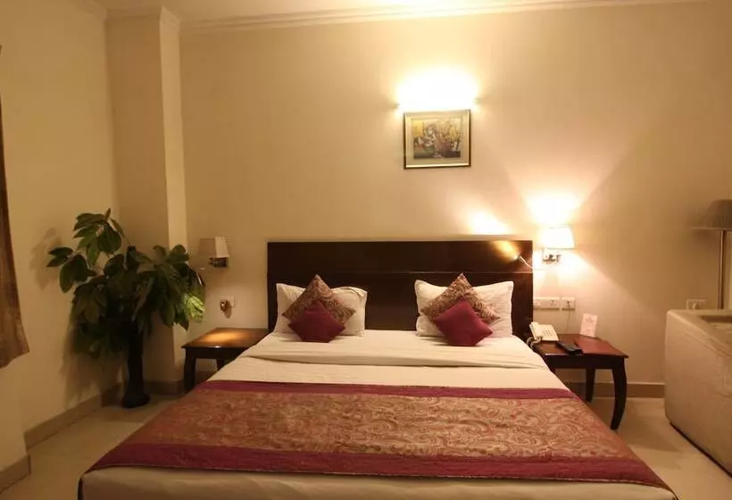 Fotos del hotel The Lohias Delhi:  5