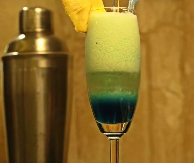 Fotos del hotel The Oriental Residency:  8