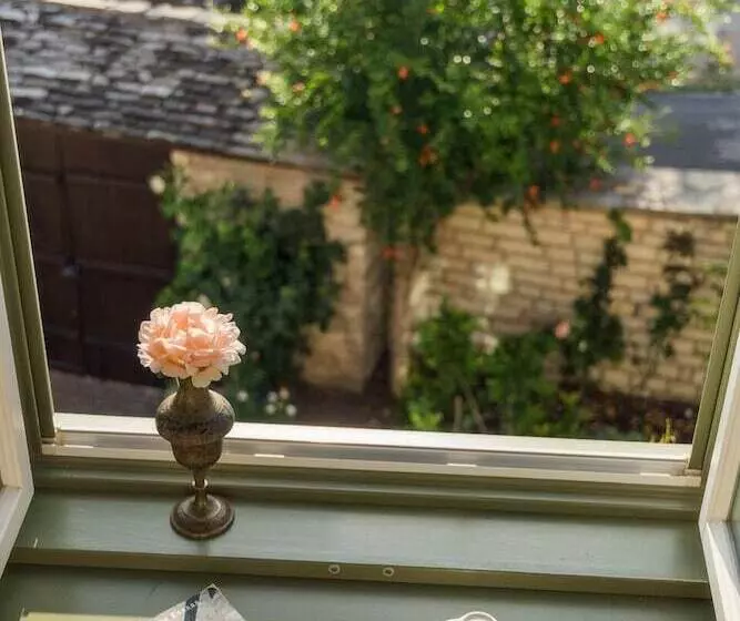 Fotos del hotel Ameliko Zagori:  24