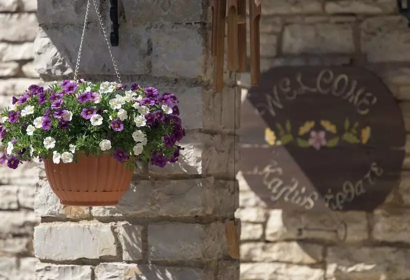 Fotos del hotel Ameliko Zagori:  22