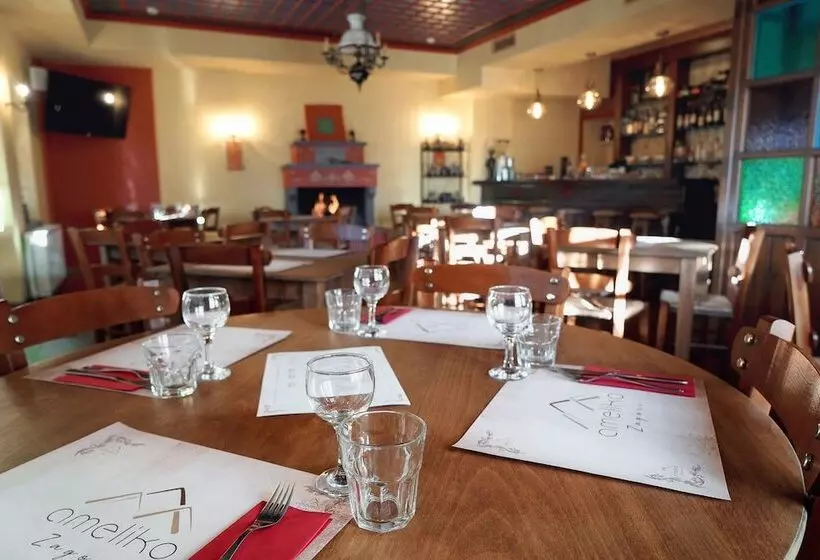 Fotos del hotel Ameliko Zagori:  8