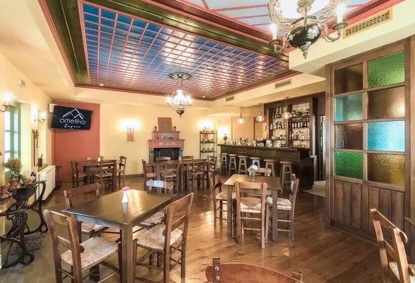 Fotos del hotel Ameliko Zagori:  14