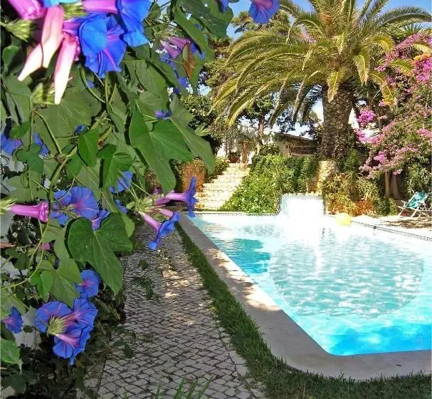 Uma Casa A Beira Sol