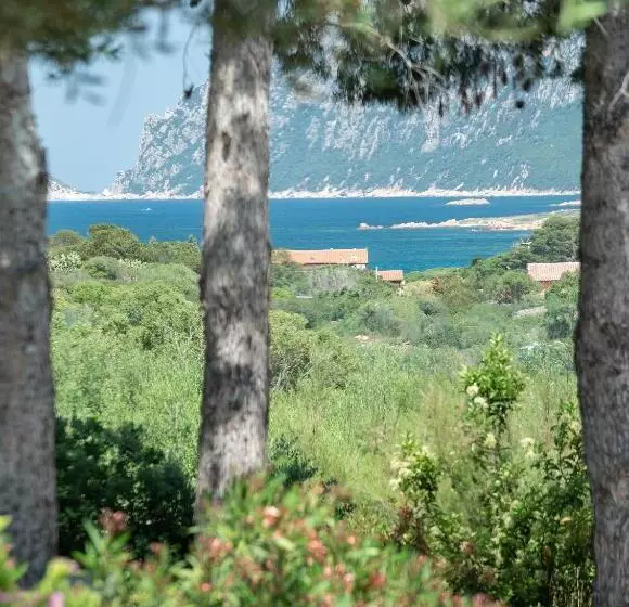 Fotos del hotel Ollastu:  6