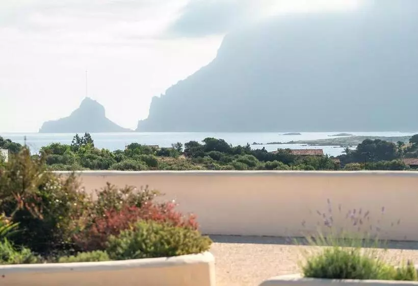 Fotos del hotel Ollastu:  21