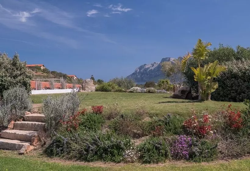 Fotos del hotel Ollastu:  18