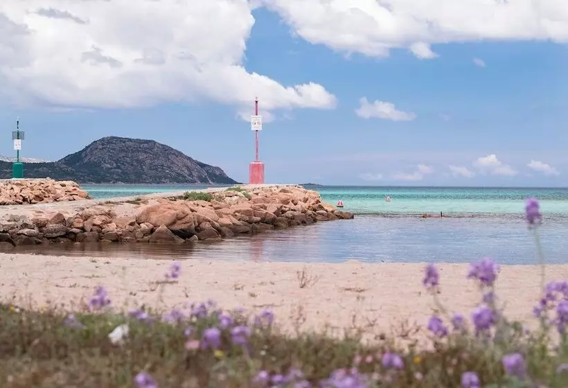 Fotos del hotel Ollastu:  23