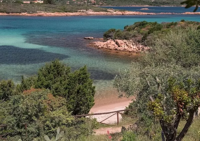 Fotos del hotel Ollastu:  14