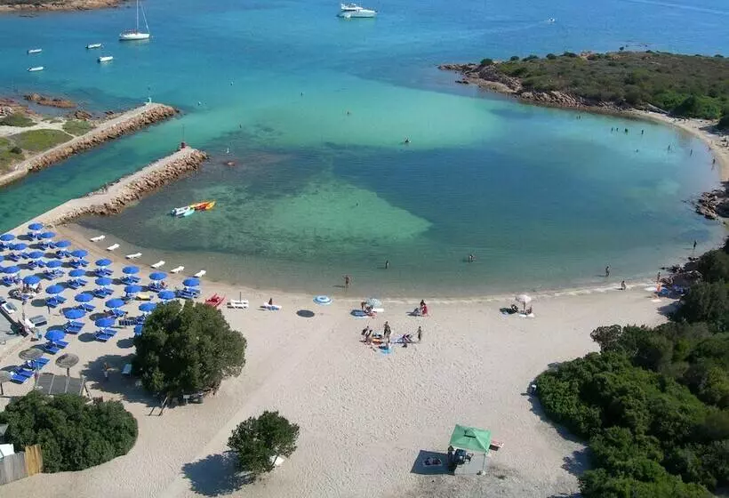 Fotos del hotel Ollastu:  10