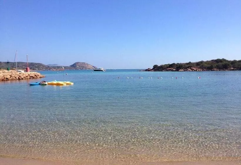 Fotos del hotel Ollastu:  25