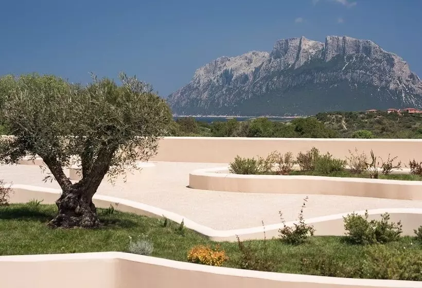 Fotos del hotel Ollastu:  13