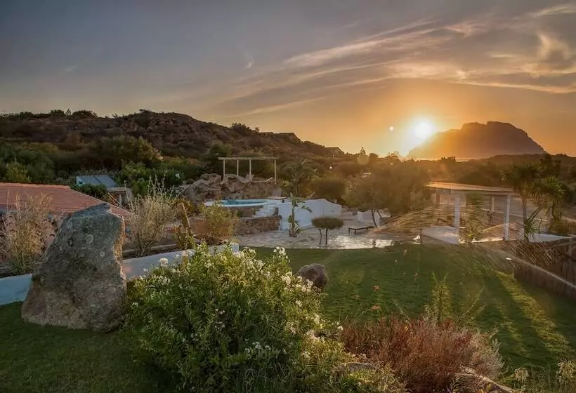 Fotos del hotel Ollastu:  19