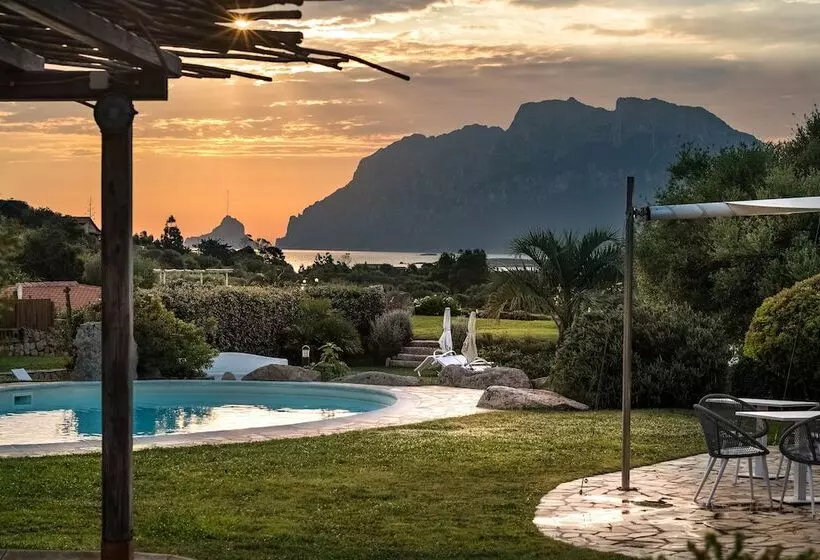 Fotos del hotel Ollastu:  24