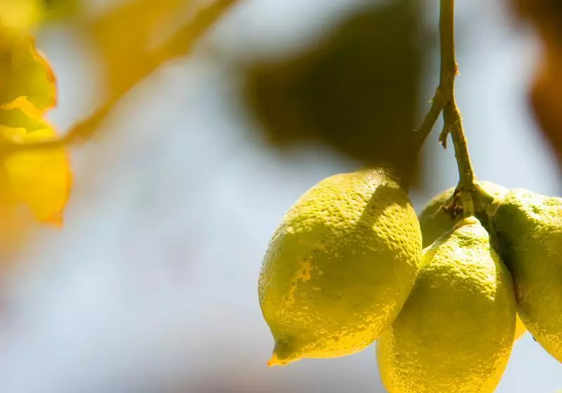 Fotos del hotel Panoramic:  2