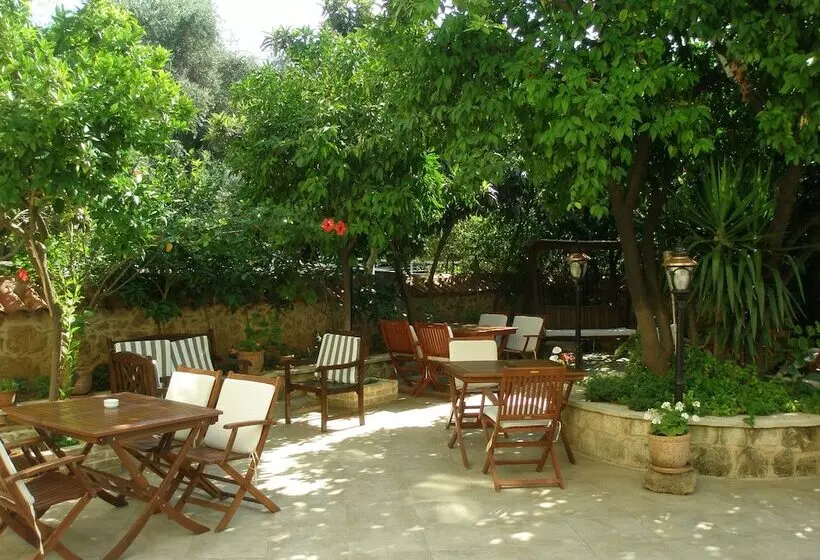 Fotos del hotel Deja Vu  Special Class:  22