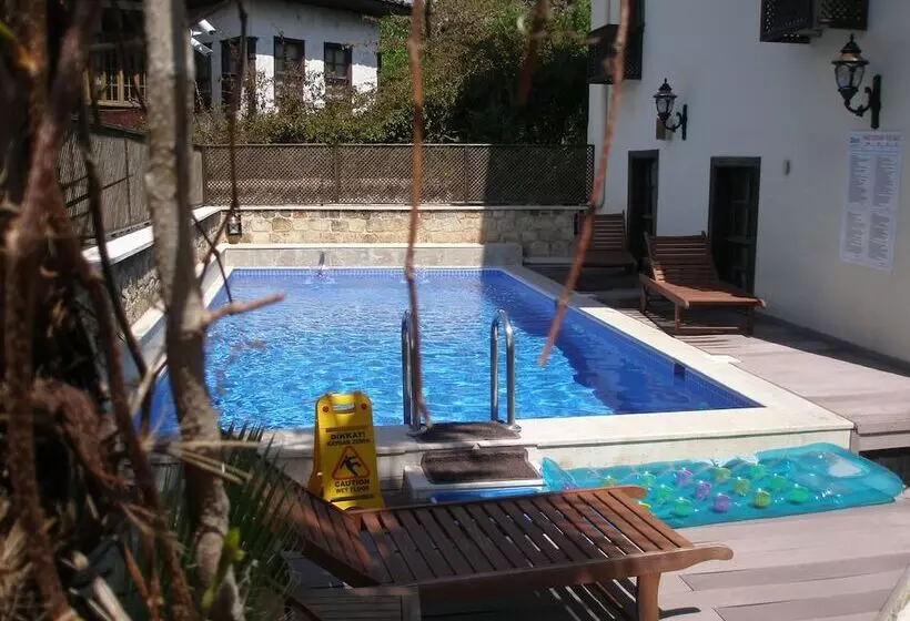 Fotos del hotel Deja Vu  Special Class:  15