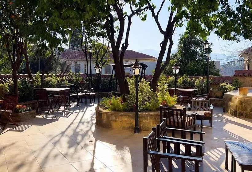 Fotos del hotel Deja Vu  Special Class:  19