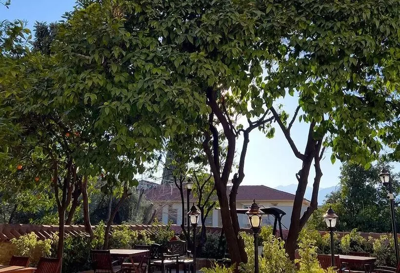 Fotos del hotel Deja Vu  Special Class:  38