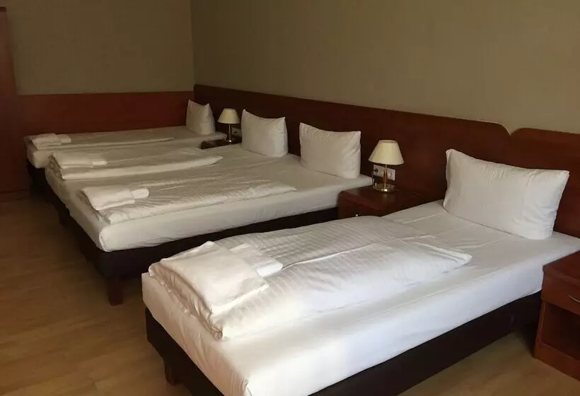 Fotos del hotel Astrid Am Kurfürstendamm:  8