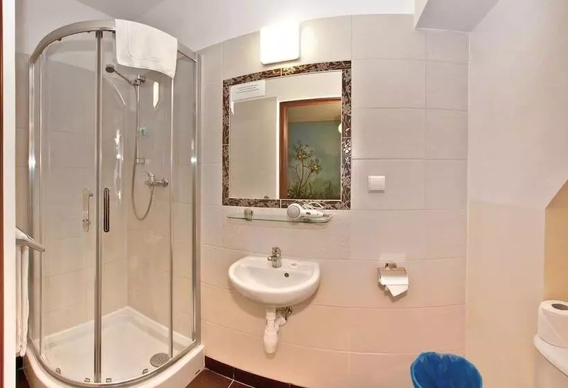 Fotos del hotel Castle Inn:  5