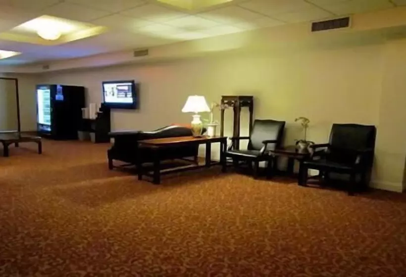 Fotos del hotel 91:  8