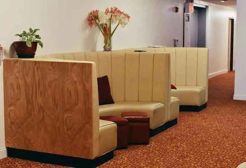 Fotos del hotel 91:  2