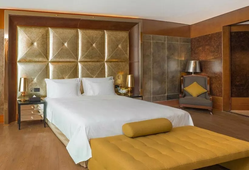 Fotos del hotel The Meydan:  61